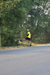 BIB: 
                            <button type="button" onclick="openModal(10196533)" class="btn btn-primary btn-sm float-right btn-popup" data-toggle="modal" data-target=".modal-high-quality">
                        <i class="fas fa-shopping-cart"></i> Add to Cart
                    </button>
                                            <button type="button" onclick="isThisMe(10196533, true)" class="btn btn-success btn-sm float-right btn-popup btn-isme hidden" data-toggle="tooltip" data-placement="bottom" title="นี่คือรูปของคุณใช่ไหม คลิกที่นี่เพื่อเอาเข้าอัลบั้ม">
                        <i class="fas fa-plus"></i> Add to album
                    </button>
                    <button type="button" onclick="isThisMe(10196533, false)" class="btn btn-warning btn-sm float-right btn-popup btn-isnotme hidden">
                        <i class="fas fa-ban"></i> Remove from album
                    </button>